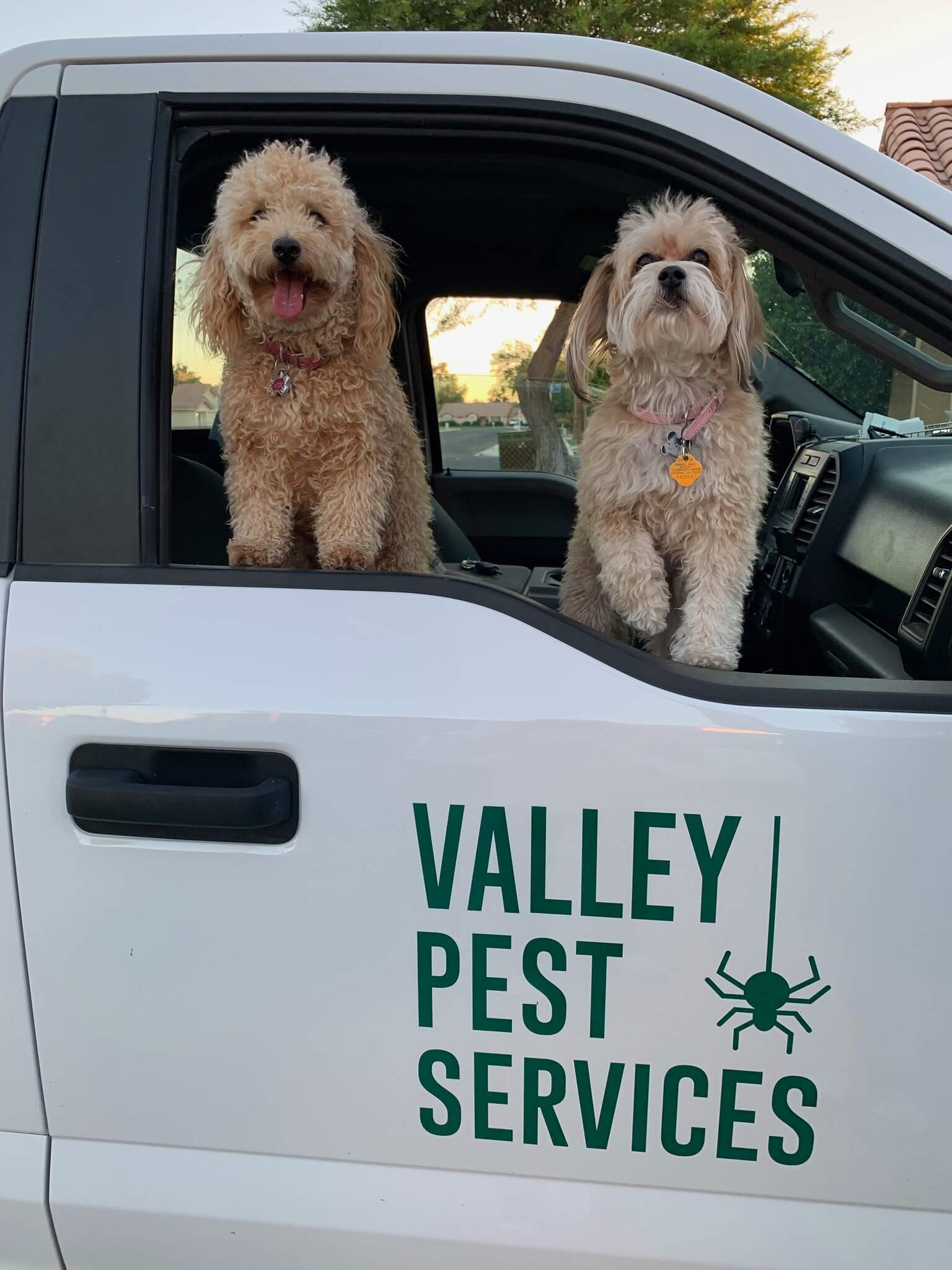 Valley Pest Services mascots